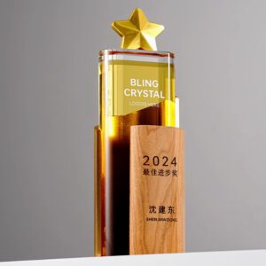 實木水晶獎座