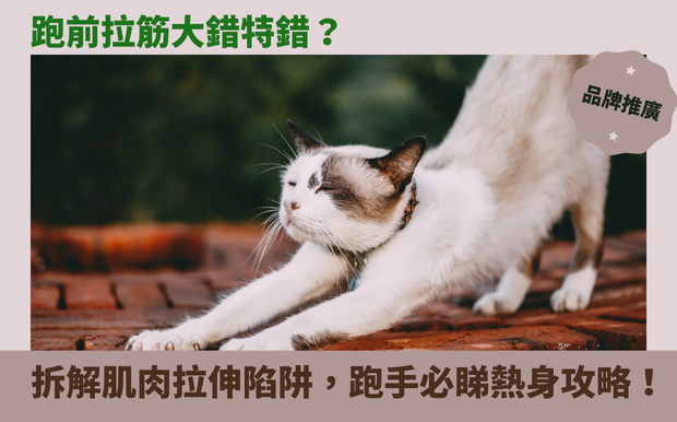 拉伸