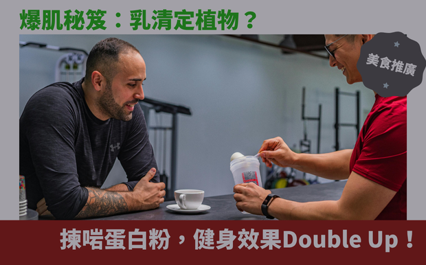蛋白粉